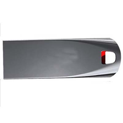 Bidding U Disk 16g32g64g128GU Disk High-speed Vehicle-mounted U Disk